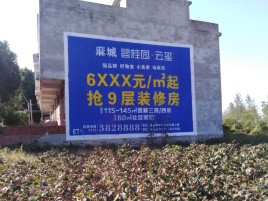 荆门品牌公司青睐的墙体广告