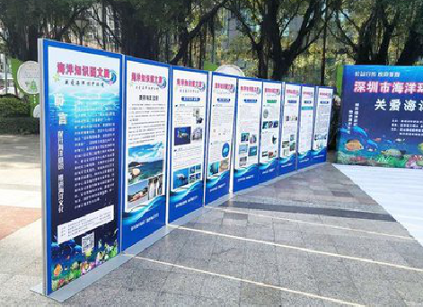 荆门KT板的种类和知识。